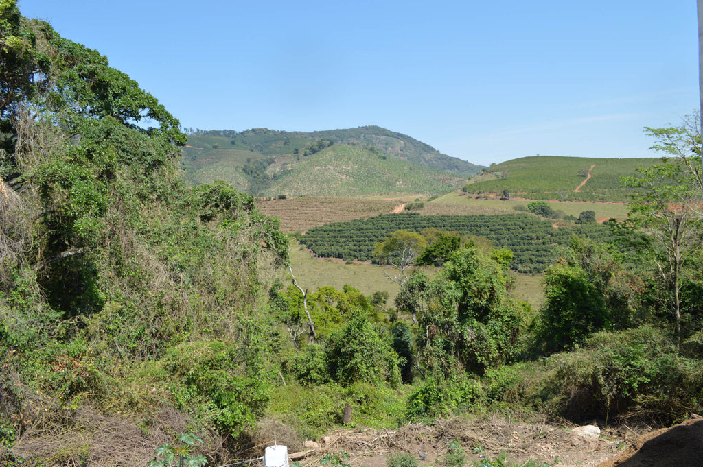 At The Mantiqueiras de Minas Cupping Competition, Brazil 2016
