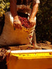 Guatemala Patzun Chimaltenango