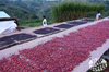 Burundi Akeza