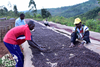 Burundi Akeza