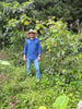 Colombia Finca Isaza